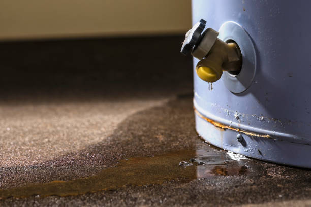 Best Water damage restoration process  in Due West, SC