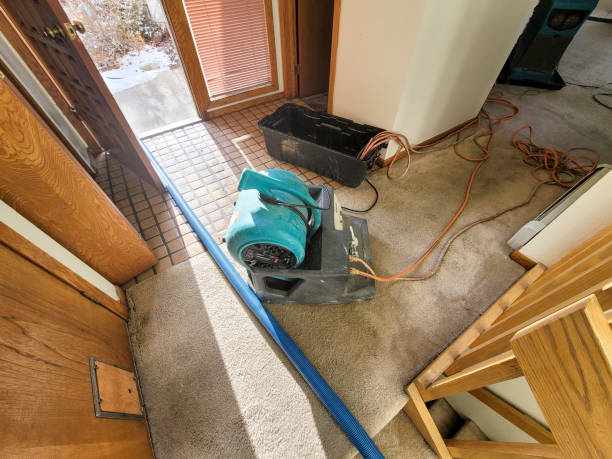 Best Commercial water damage restoration  in Due West, SC
