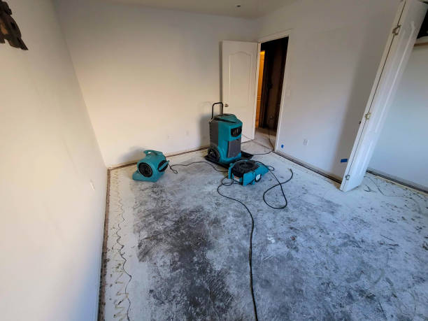 Best Local water damage restoration  in Due West, SC