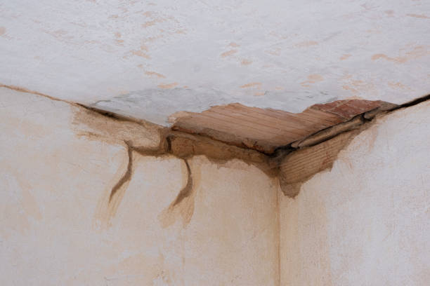 Fire Damage Restoration in SC