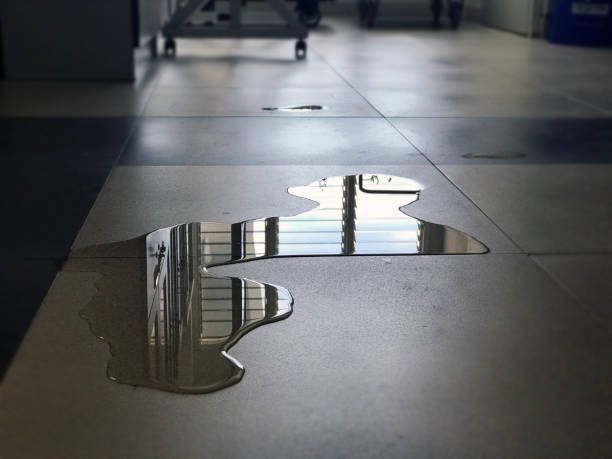 Best Water damage cleanup near me  in Due West, SC