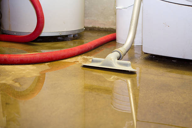 Best 24-hour water damage restoration  in Due West, SC