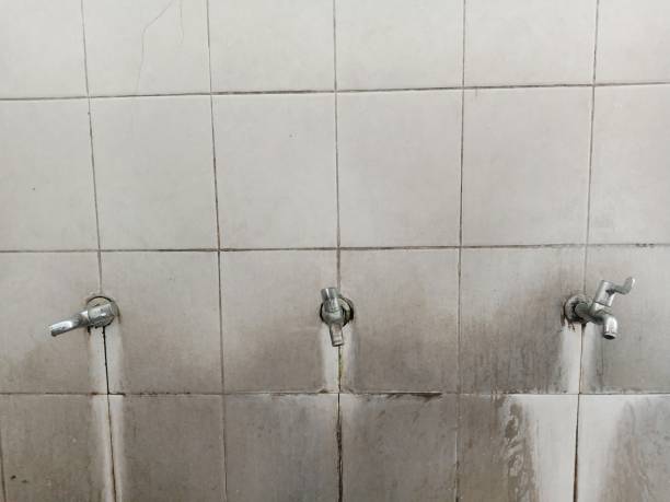 Water damage restoration mold remediation in SC