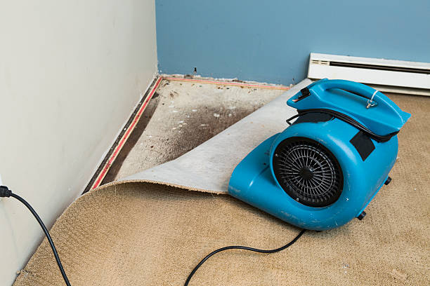 Best Water damage restoration near me  in Due West, SC